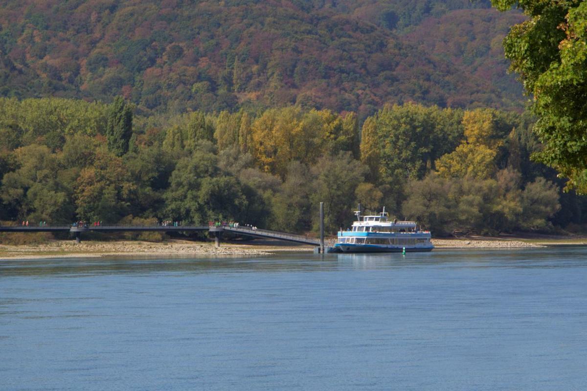 Ferienhaus An Der Burg Namedy Andernach Buitenkant foto